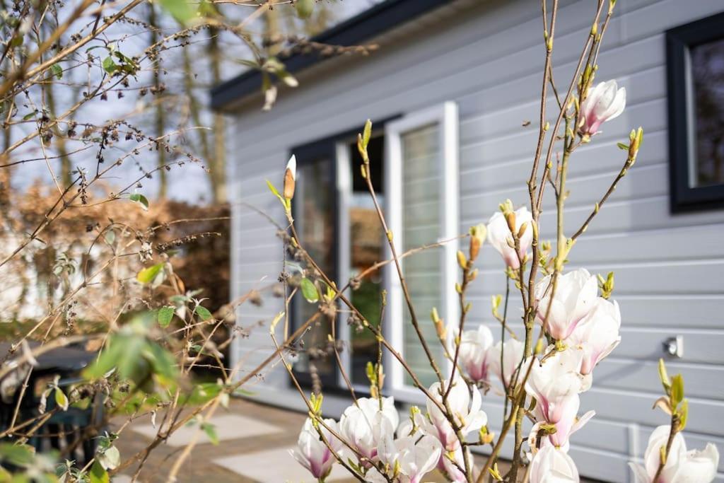 Gezellig Modern Chalet Midden Op De Veluwe Epe Εξωτερικό φωτογραφία